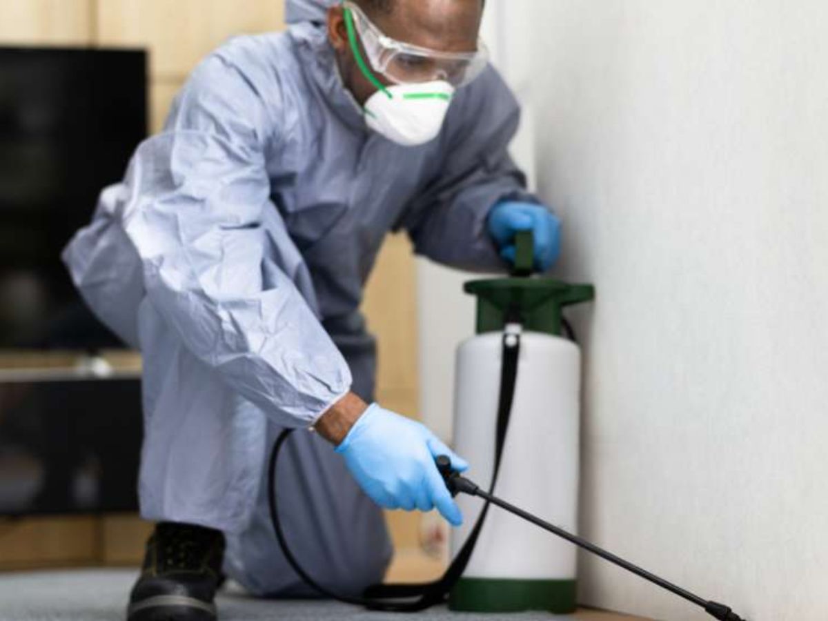 Office cleaning team working after hours